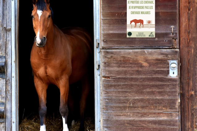 Protéger nos chevaux, c'est aussi protéger notre passion !