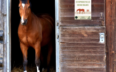 Protéger nos chevaux, c'est aussi protéger notre passion !