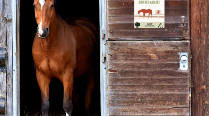 Protéger nos chevaux, c'est aussi protéger notre passion !