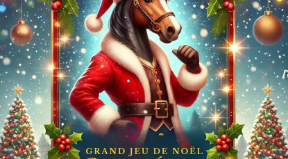 🎄📸 CONCOURS PHOTO DE NOËL QUALIT’ÉQUIDÉS 📸🎄